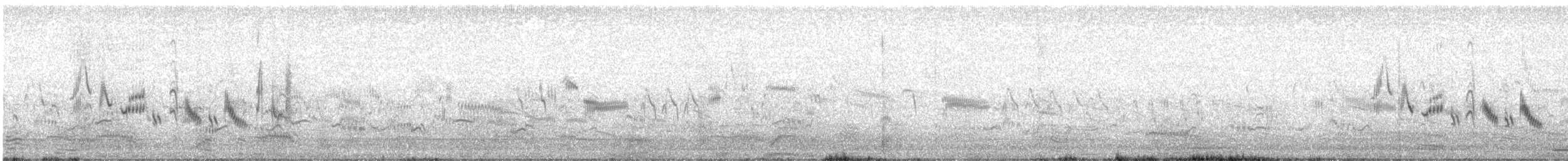 סבכי קוצים - ML643692663