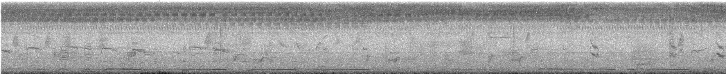 hrdlička kropenatá - ML643693096