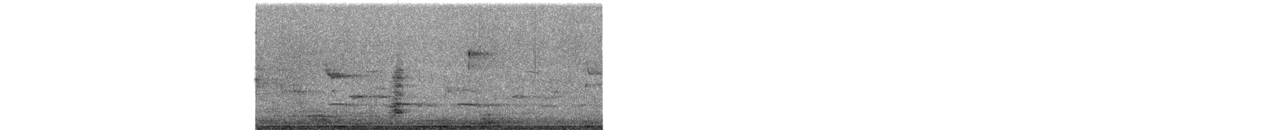 Koartza hauskara amerikarra - ML643693308