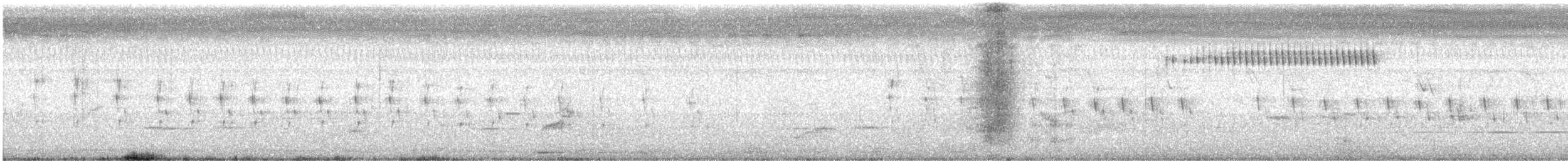 orientprinia - ML643693832