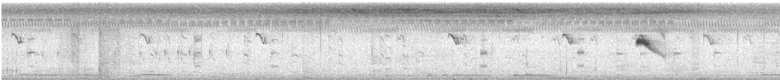 Bengali rouge - ML643693865