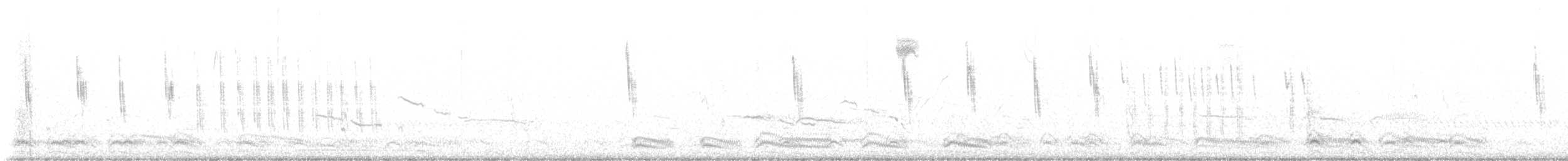 Sedge Wren - ML643694244