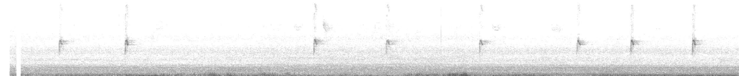 White-throated Sparrow - ML643694649