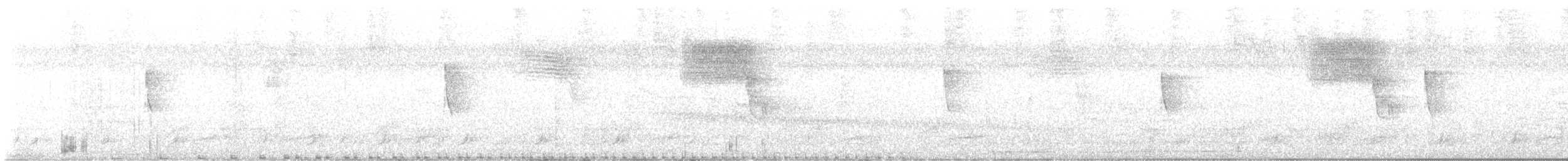 Spotted Rail - ML643695133