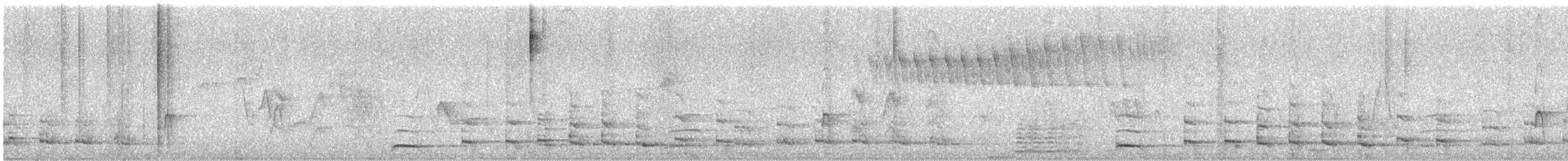 Cariama de Burmeister - ML643695191