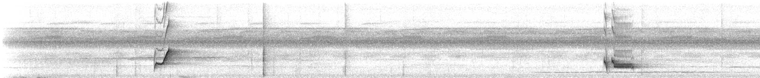 Blue-backed Manakin (regina) - ML643695219