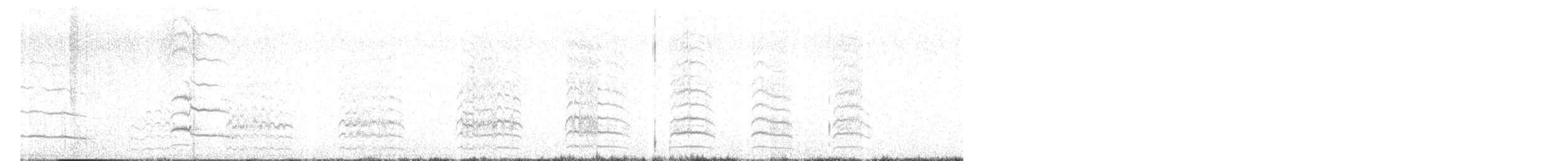 Andean Gull - ML643696667