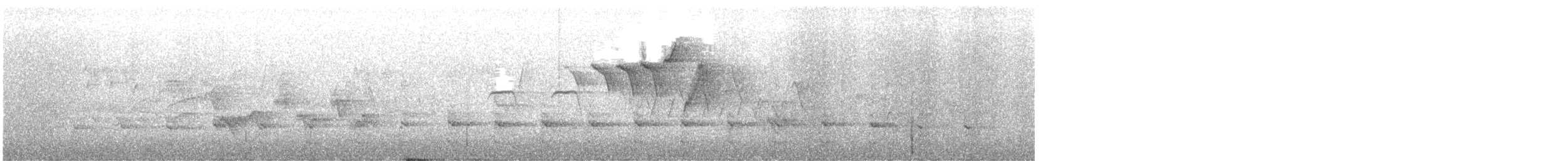 חרטומית אמריקנית - ML643696788