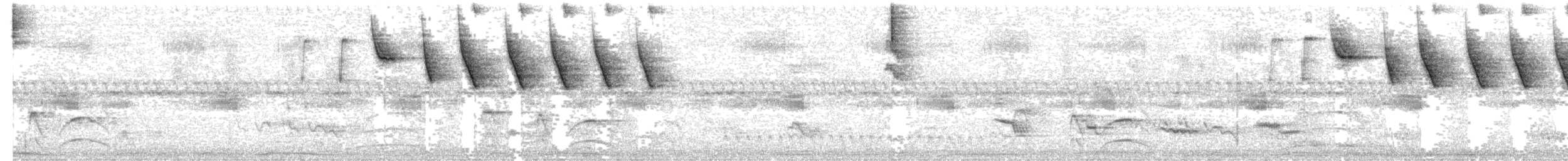 Saffron-billed Sparrow (Gray-backed) - ML643697099