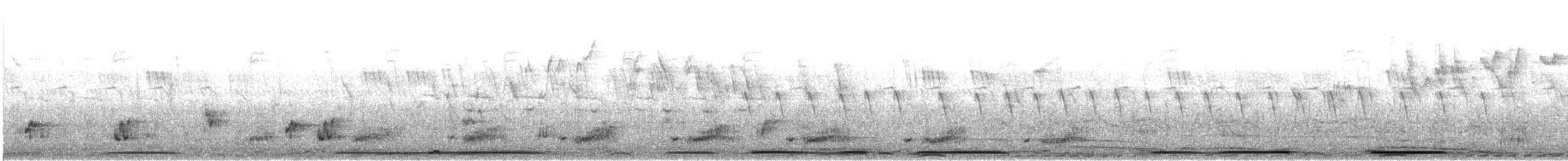 Black-billed Wood-Dove - ML643697489