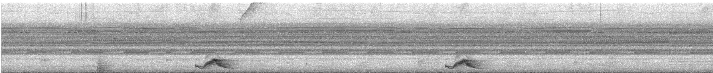 pauraquenattravn - ML643697651