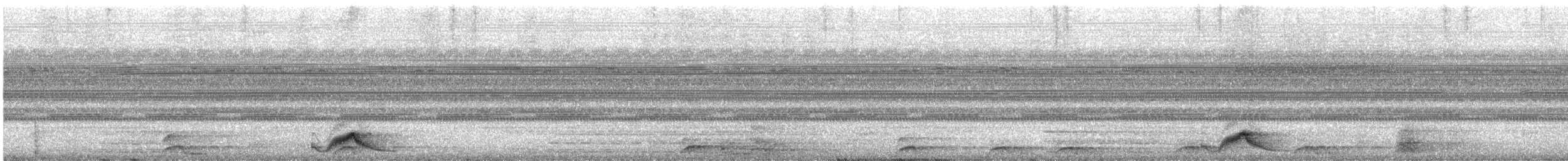 pauraquenattravn - ML643697682