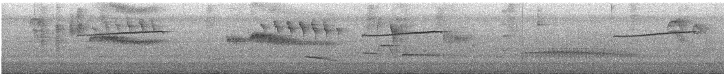 クロスジオオガシラ - ML643698266