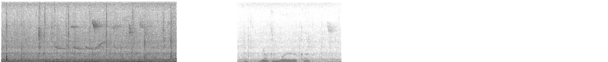 gråryggbekard - ML643698608