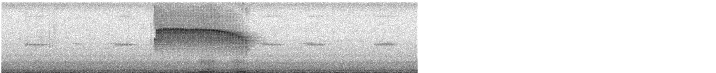 Spotted Barbtail - ML643698656