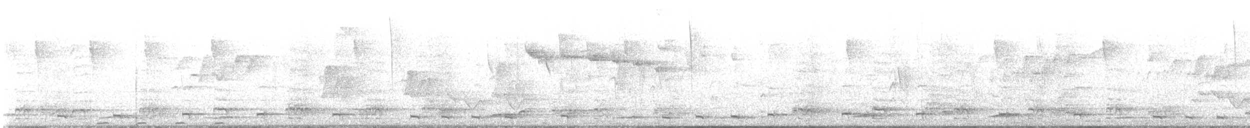 Râle de Cayenne - ML643699285