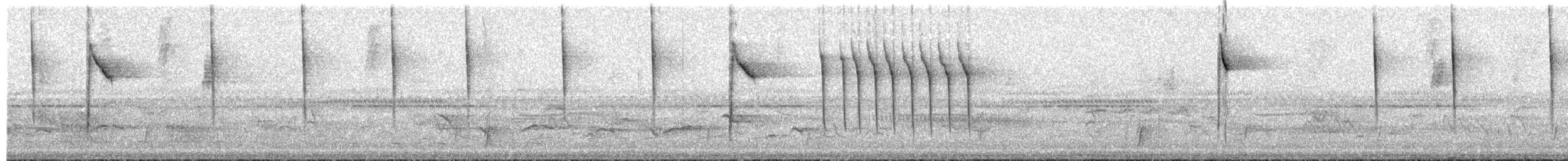 Calliste syacou - ML64370001