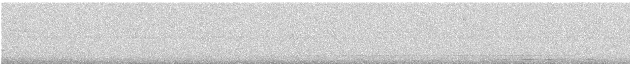 Little Swift - ML643700610