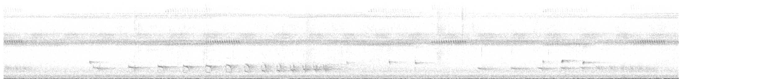 Northern Slaty-Antshrike - ML643700982