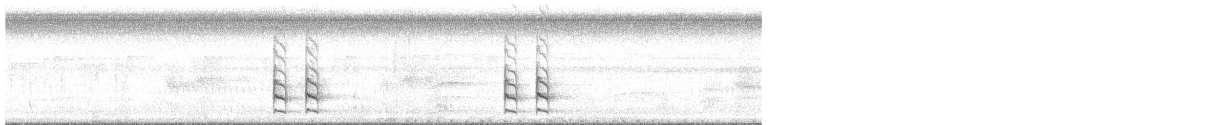 Synallaxe belette - ML643701507