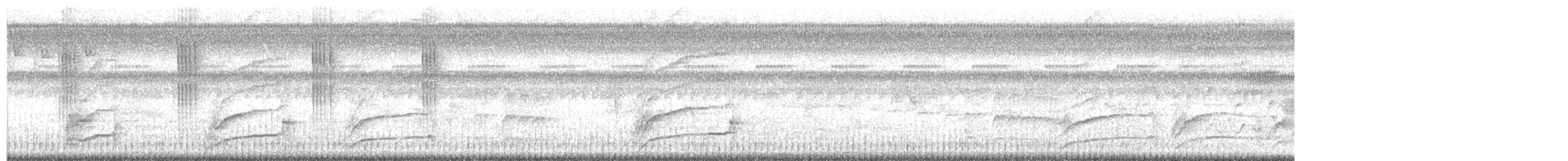 glattnebbani - ML643701557