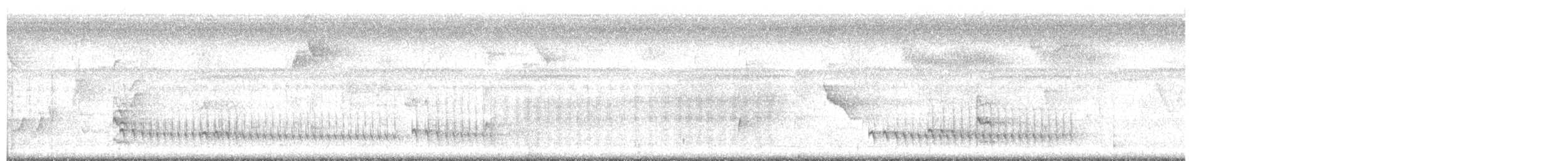 Black-and-white Antbird - ML643701589