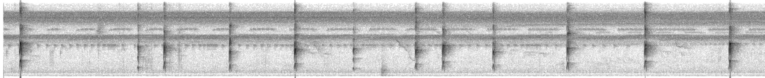 Zimmer's Woodcreeper - ML643701750