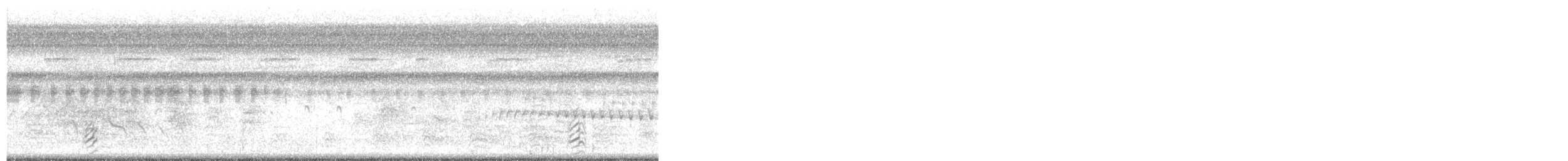 オオハシアジサシ - ML643701841