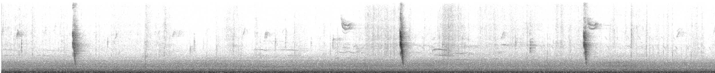 Northern Mockingbird - ML643702861