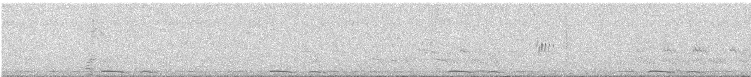 Western Wood-Pewee - ML643703927