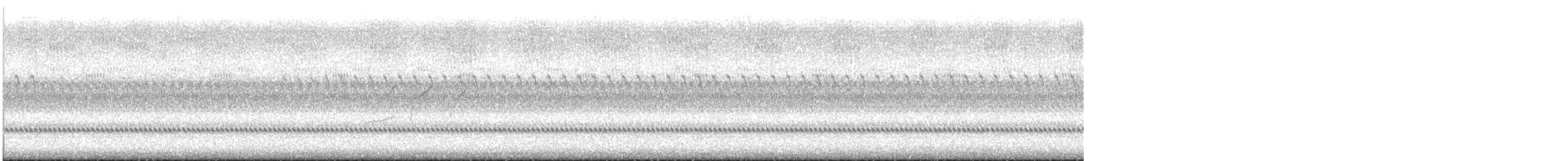 Solitary Sandpiper - ML643706244