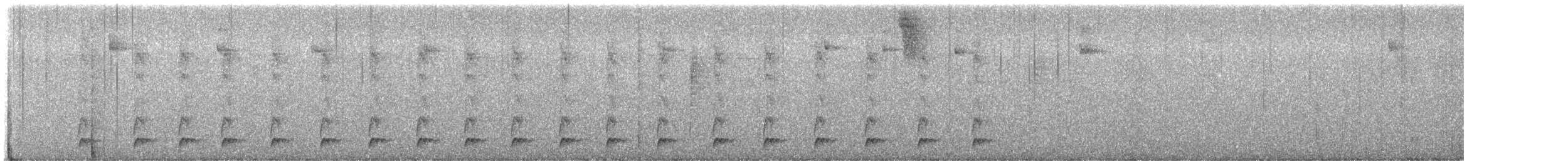 Blackish Tapaculo - ML643706345