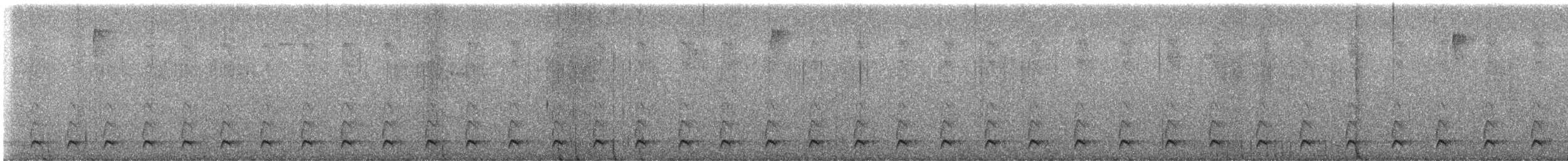 Blackish Tapaculo - ML643706366