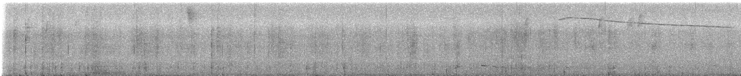 Barred Fruiteater - ML643706374