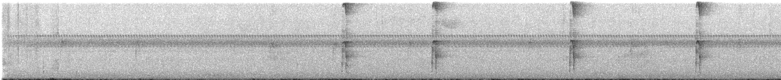 Hairy Woodpecker - ML643710407