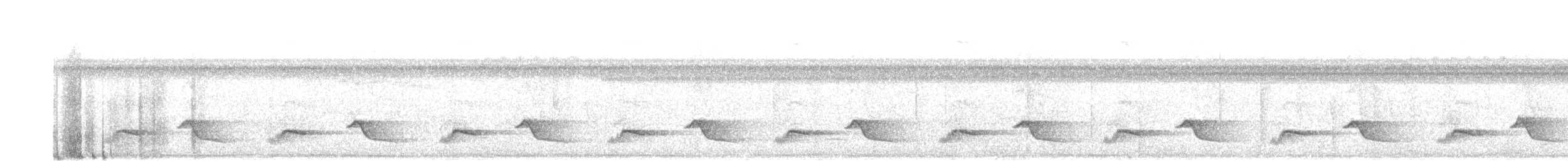 Yellow-tailed Oriole - ML643712092