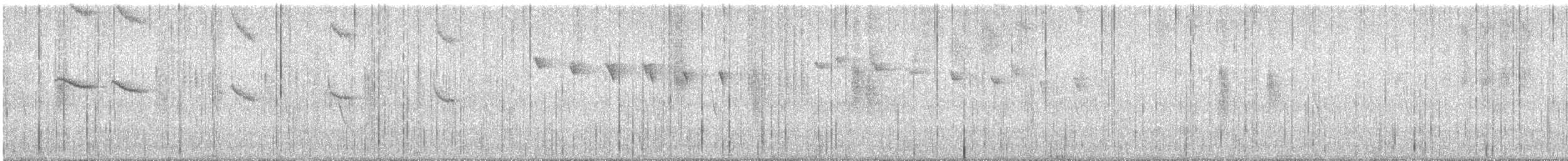 Red-tailed Comet - ML643712232