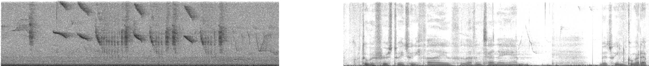 Red-tailed Comet - ML643712989