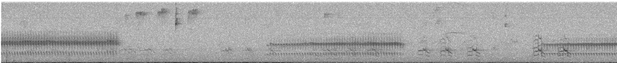Trilling Tapaculo - ML643713132