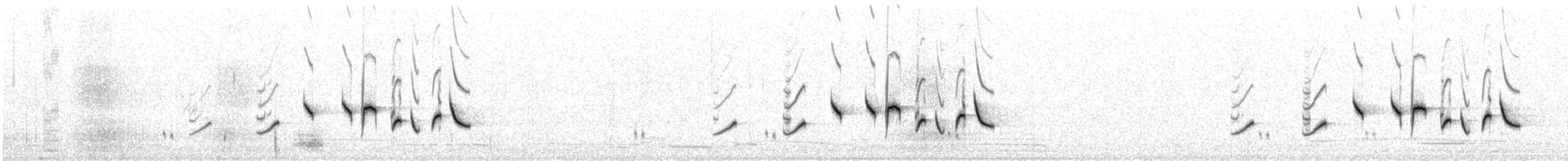 Rufous Fieldwren - ML643714173
