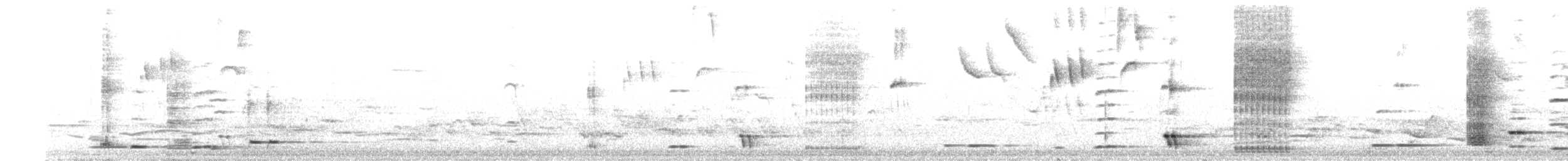 Tui - ML643715078