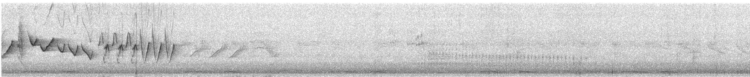 Inca Dove - ML643715459