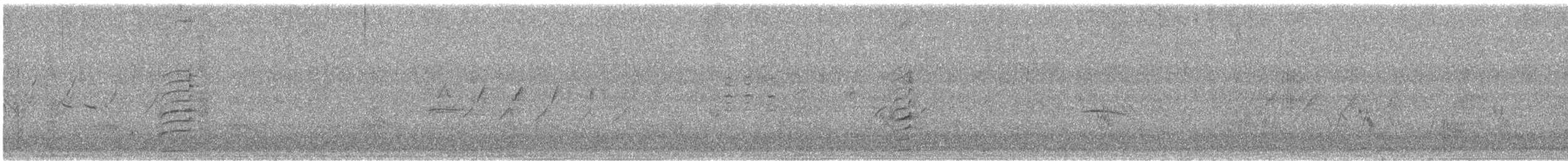 Least Grebe - ML643715915