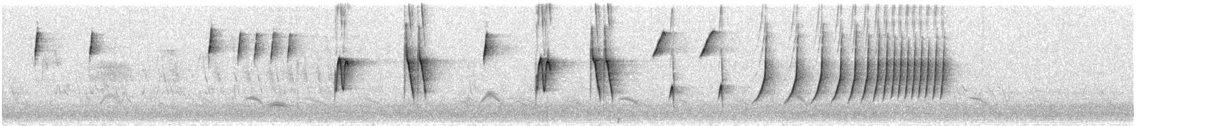 Botteri's Sparrow (Botteri's) - ML643716504