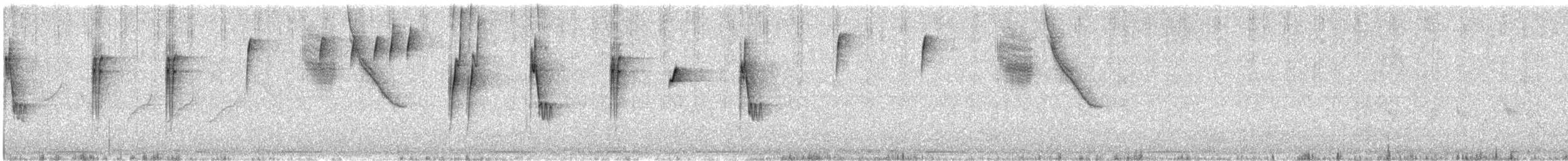 Botteri's Sparrow (Botteri's) - ML643716505