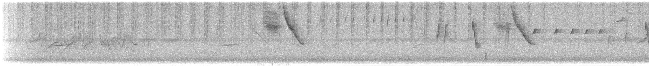 Botteri's Sparrow (Botteri's) - ML643716507
