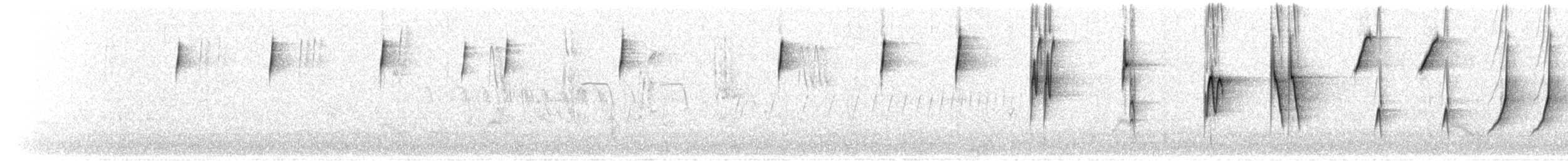 Botteri's Sparrow (Botteri's) - ML643716509