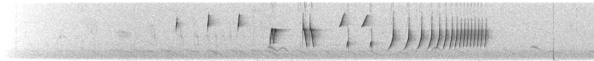 Botteri's Sparrow (Botteri's) - ML643716511