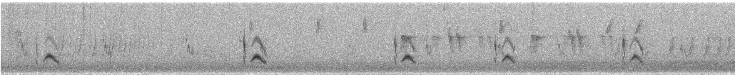 Botteri's Sparrow (Botteri's) - ML643716512