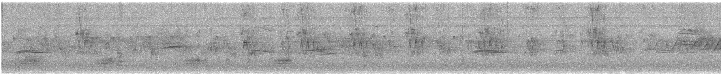 Turpial Dorsinegro - ML643716636
